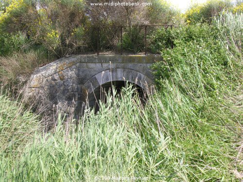 A Walk around the Malpas Tunnel & the Etang de Montady