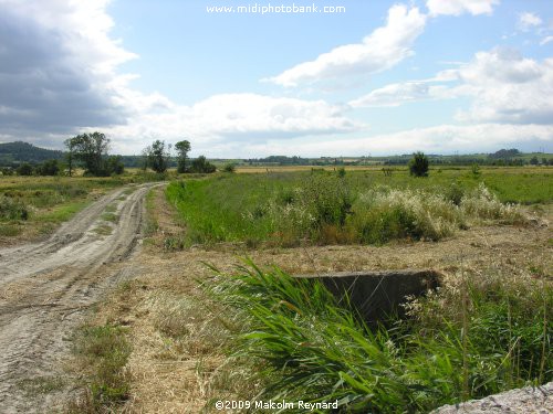 A Walk around the Malpas Tunnel & the Etang de Montady