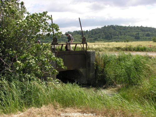 A Walk around the Malpas Tunnel & the Etang de Montady