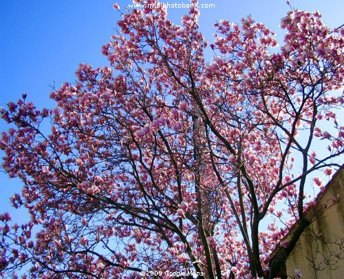 Spring in Béziers