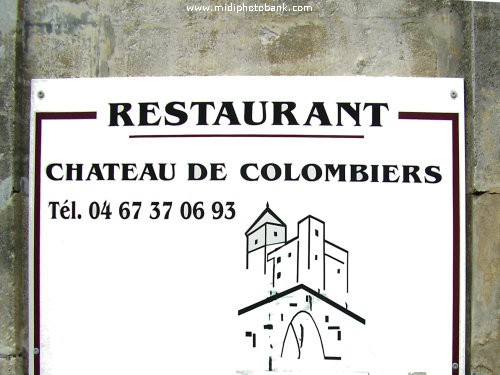 Chateau de Colombiers