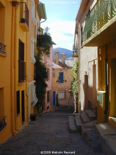 Languedoc Roussillon - Côte Vermielle