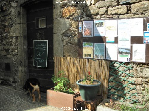 Haut Languedoc Regional Park