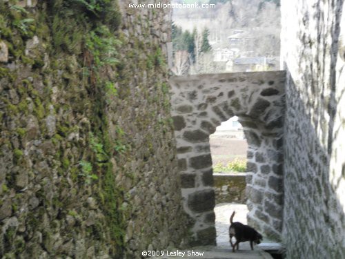 Haut Languedoc Regional Park