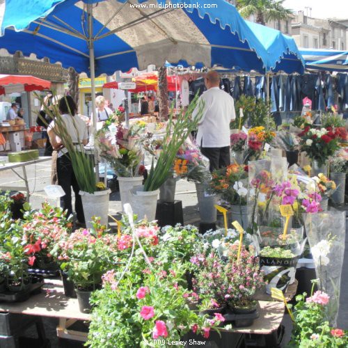 Pezenas Saturday Market