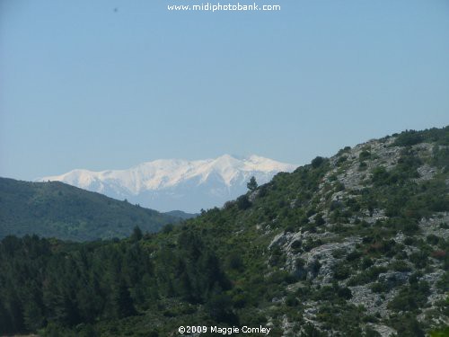 Pyrenées - Mount Canigou