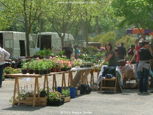 Country Markets - Corbières