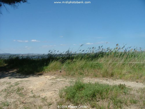 Canal de la Robine - Isle St Lucie