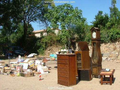 Summer in the Corbières