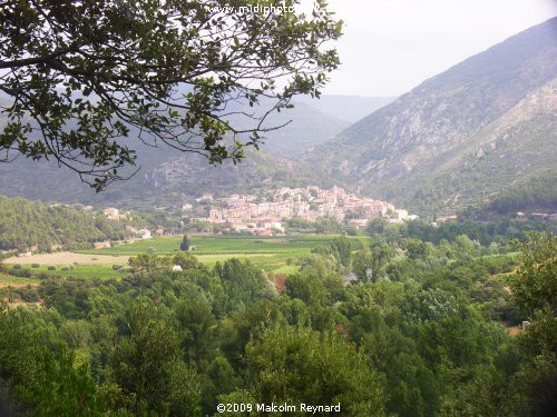 A day out in the "Haut Languedoc Regional Park