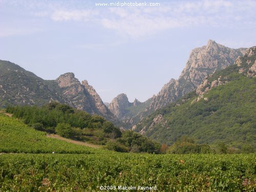 A day out in the "Haut Languedoc Regional Park