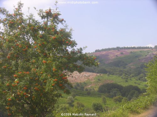 A day out in the "Haut Languedoc Regional Park