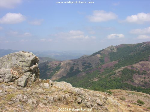 A day out in the "Haut Languedoc Regional Park
