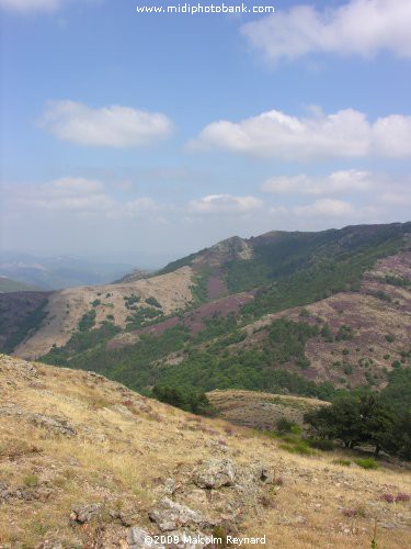 A day out in the "Haut Languedoc Regional Park