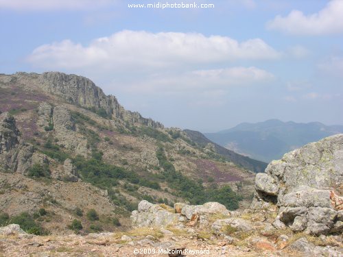 A day out in the "Haut Languedoc Regional Park