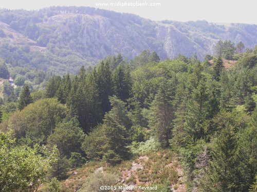 A day out in the "Haut Languedoc Regional Park