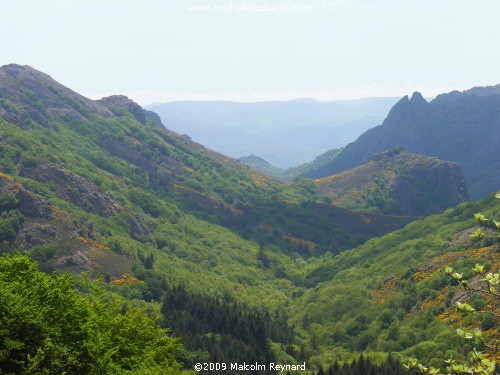 A day out in the "Haut Languedoc Regional Park