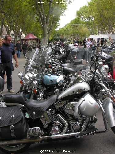 "Brescoudos" Harley Davidson Bike Week