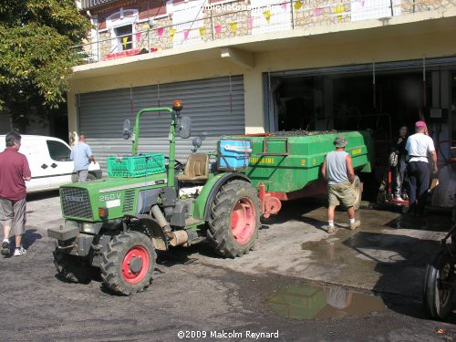 The "Vendanges" (Grape Harvesting) of the 2009 Crop in the Languedoc