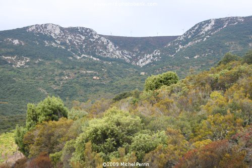 Walking in the Corbières