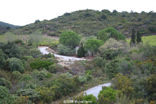 Walking in the Corbières