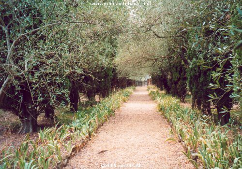 l'Abbaye Sainte-Marie de Fontfroide