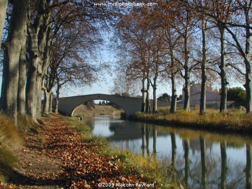 Autumn sets in on the Canal du Midi