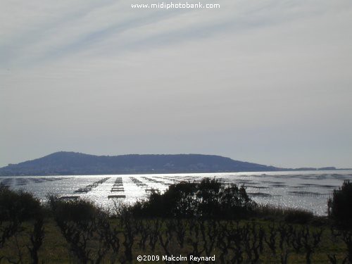 Canal du Midi - Etang de Thau