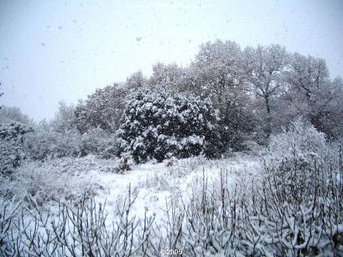 and more Snow up in the Black Mountains