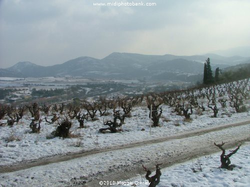 A "Sowy" Walk round the Village of Cascastel