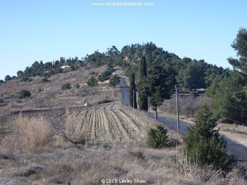 Oppidum d'Enserune - Gallo Roman Hill Fort