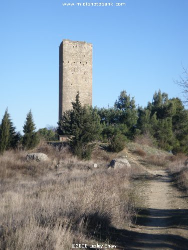 Medieval Fortress Tower - Montady