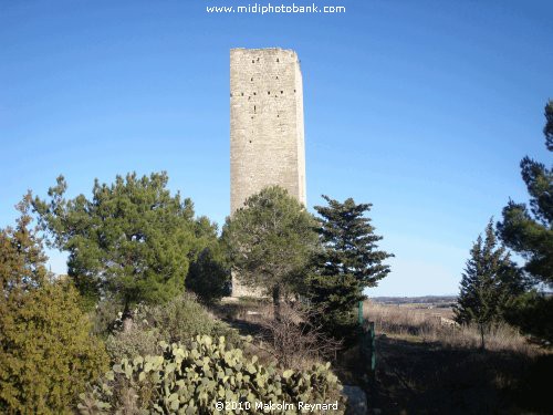 Medieval Fortress Tower - Montady