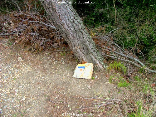 Follow the Yellow/Blue Brick Road