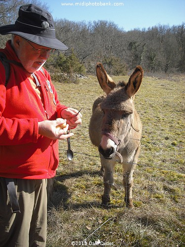 Dale's Journey along the Route de Compostella