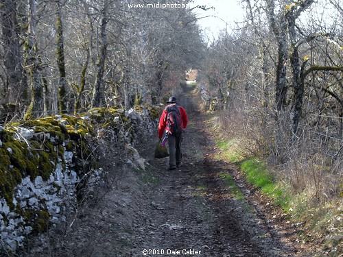 Dale's Journey along the Route de Compostella