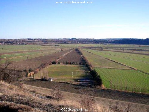 Looking across the Etang de Montady