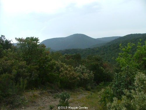 The wilds of the Corbières