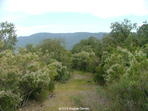 The wilds of the Corbières