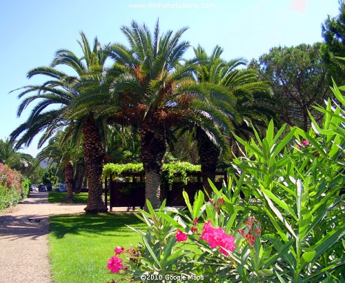 Summer in Béziers