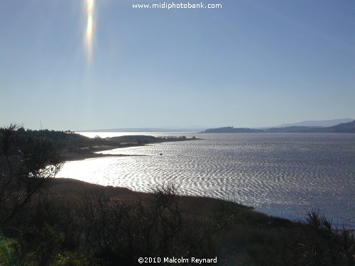 Bages - the Etang