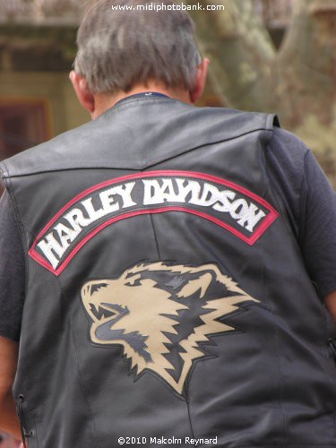 Harley Davidson Rally