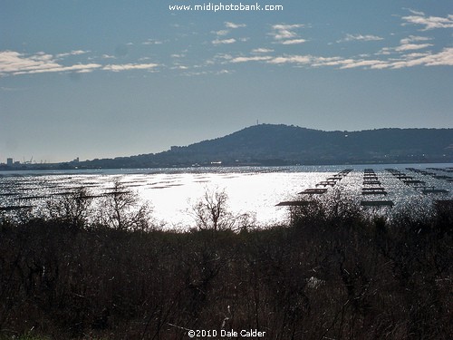 Bouziques - Etang de Thau