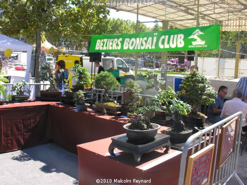 "Club" Saturday in Béziers