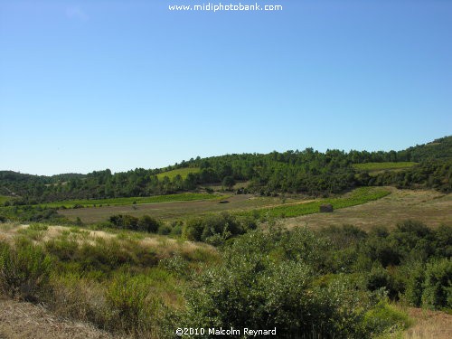 "Secret Valley" - Haut Languedoc Regional Park