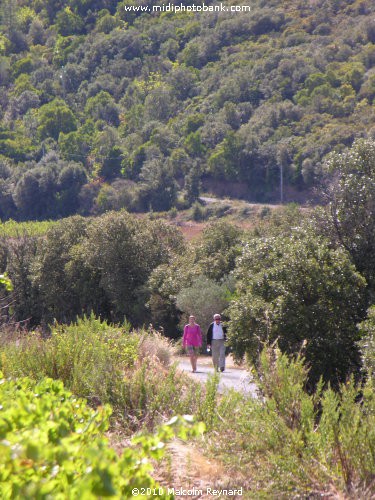 "Secret Valley" - Haut Languedoc Regional Park