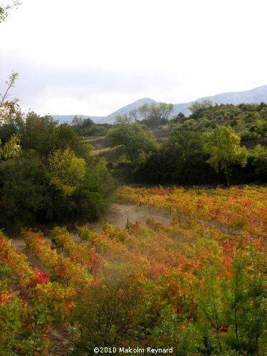 Autumn Colours in the Corbières