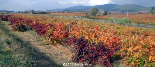 Autumn Colours in the Corbières