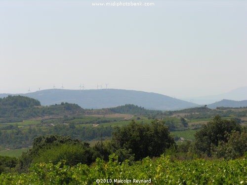 Minervois Hills