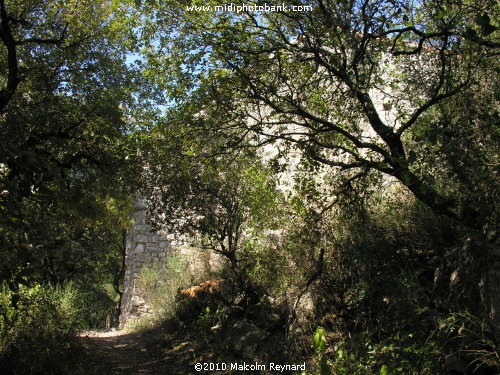 Minervois Hills